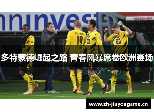 多特蒙德崛起之路 青春风暴席卷欧洲赛场